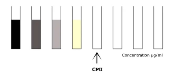 CMI en milieu  liquide